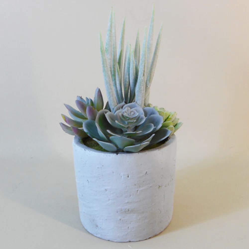 Potted Artificial Succulents in Grey Pot Artificial Plants